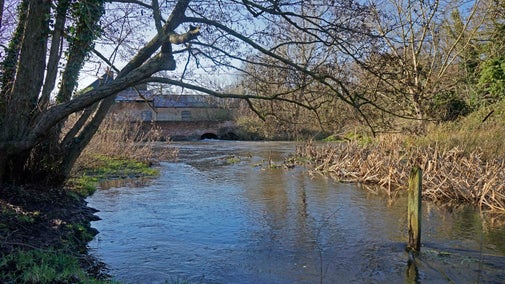 John's Water pool in the winter, on the Blickling Estate, Norfolk